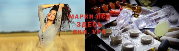 ПСИЛОЦИБИНОВЫЕ ГРИБЫ Алексин