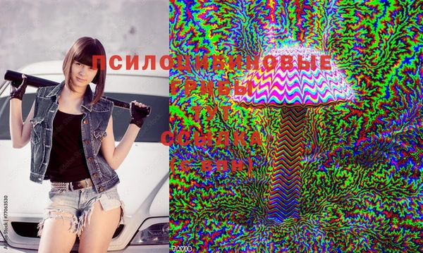 трава Алзамай